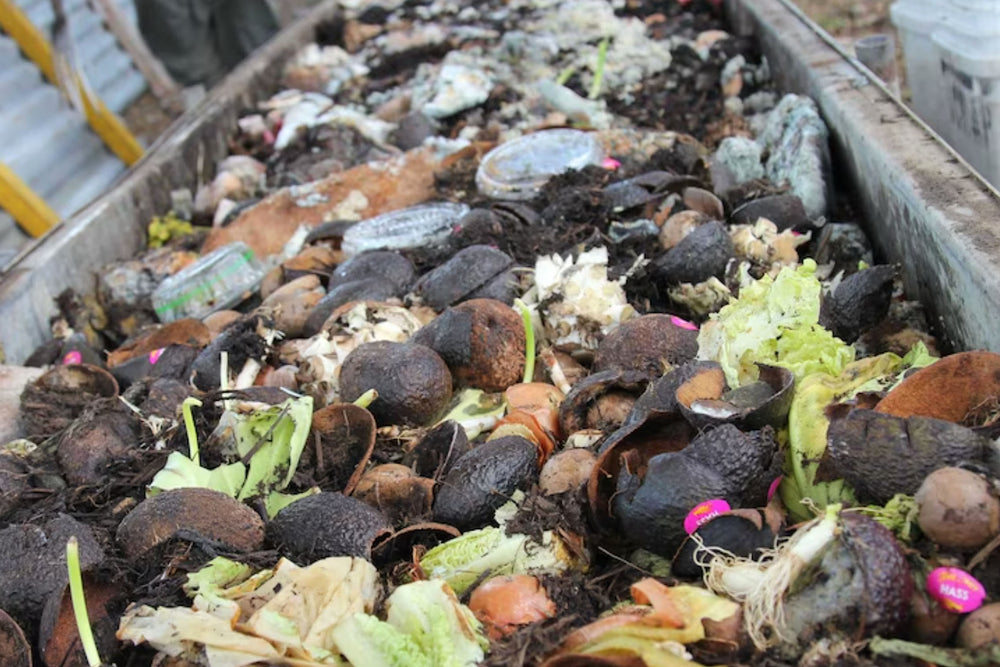 Food waste costs Australian households up to $3,000 a year