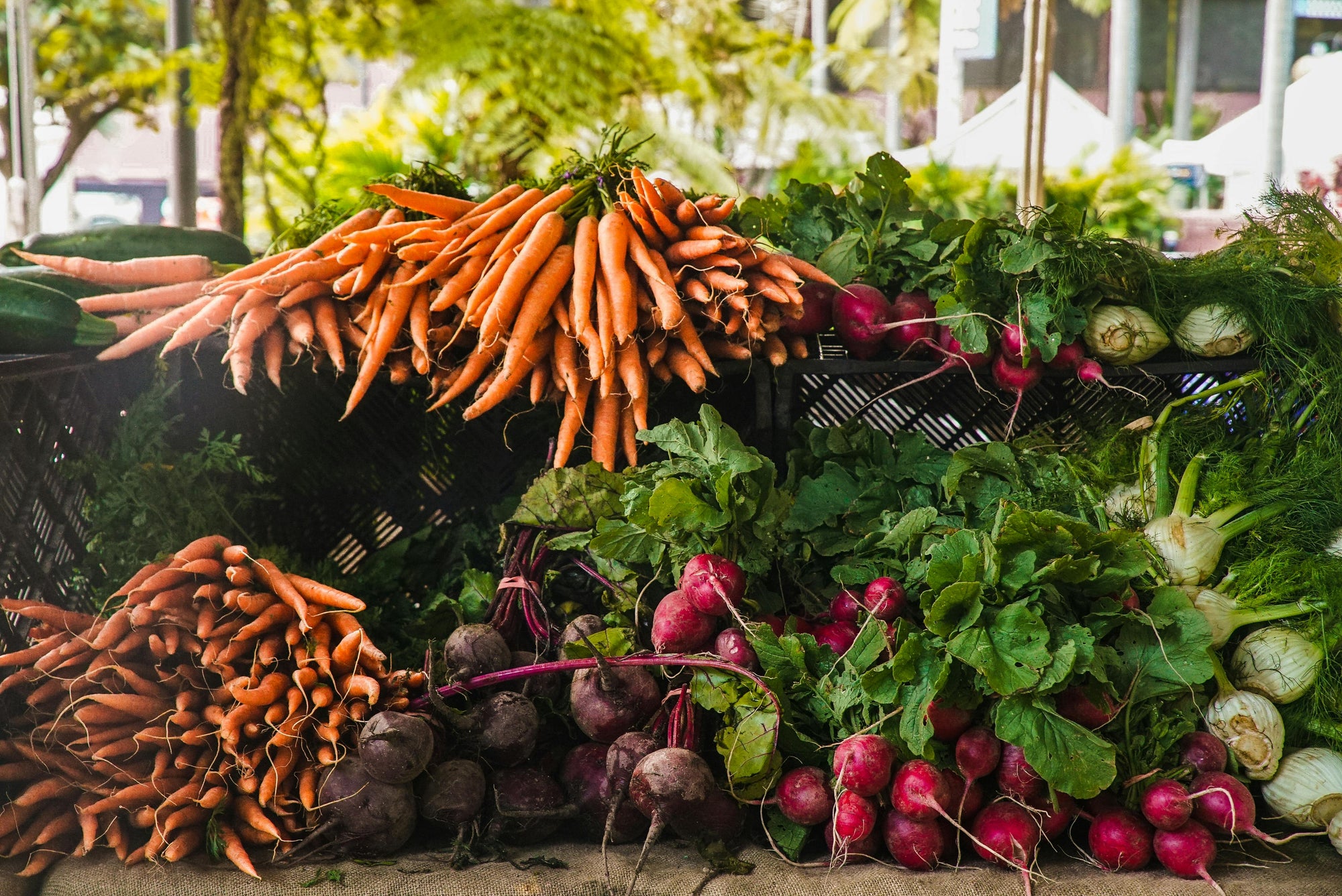 Farmers Market Shopping: Tips for Finding Fresh, Local Produce