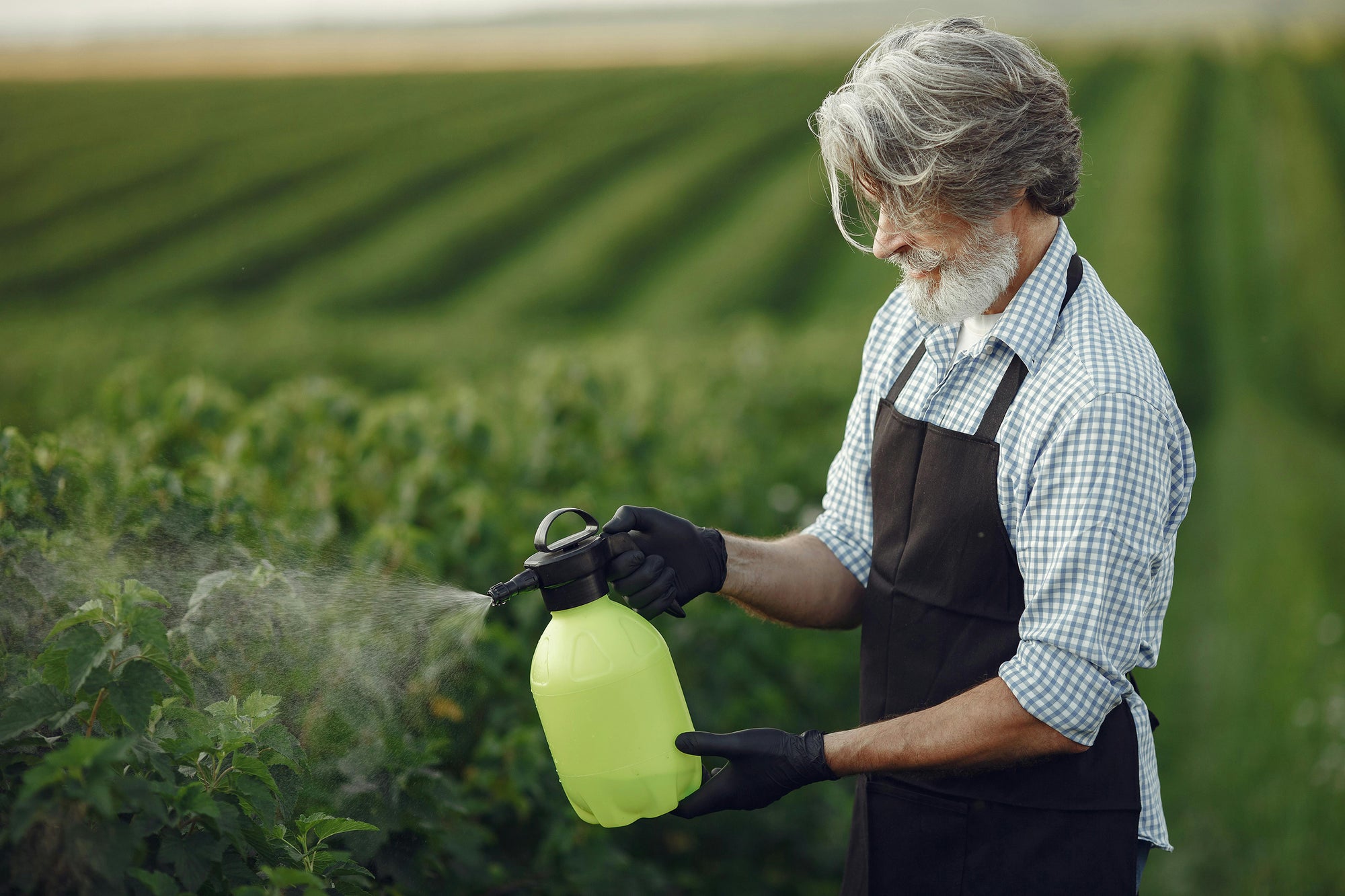 Pesticides with Previously Unknown Endocrine Activity